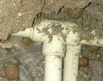 五指山测漏水多少钱