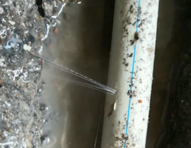 五指山测漏水哪家好