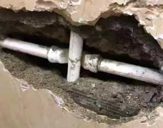 五指山测漏水哪家好