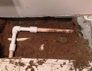 五指山测漏水哪家好