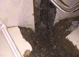 五指山卫生间测漏水哪家好