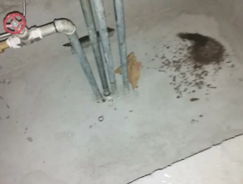 五指山卫生间测漏水价格明细