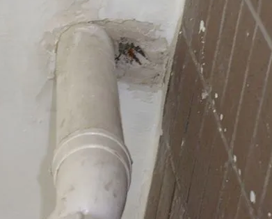 五指山漏水检测哪家好